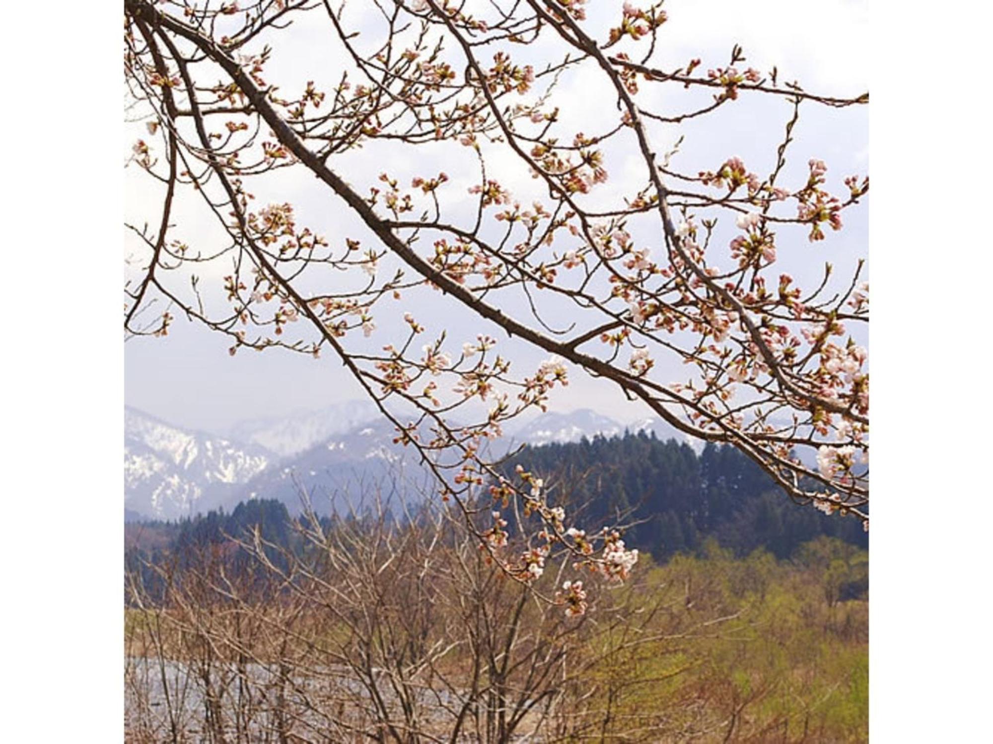 Shintainai Onsen Royal Tainai Park Hotel - Vacation Stay 90212V מראה חיצוני תמונה