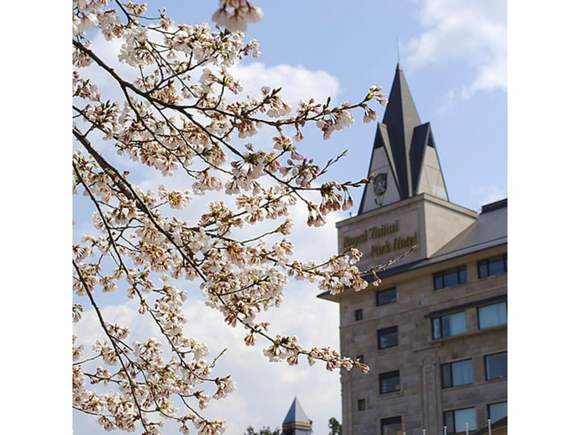 Shintainai Onsen Royal Tainai Park Hotel - Vacation Stay 90212V מראה חיצוני תמונה